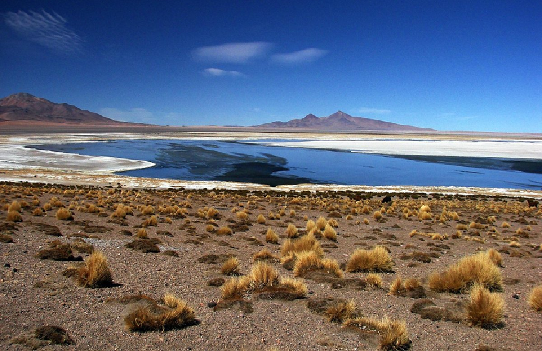 Calama